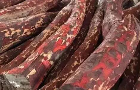 /xinwendongtai/yisenzixun/2018-04-01/14.html